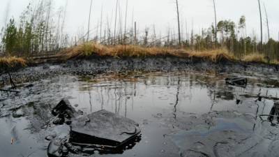 Андрей Лобода - Эксперт прокомментировал разлив нефтепродуктов в Коми - russian.rt.com - респ. Коми
