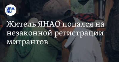 Житель ЯНАО попался на незаконной регистрации мигрантов - ura.news - окр. Янао - Новый Уренгой