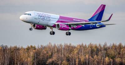 Wizz Air начала облетать Беларусь после перехвата самолета Ryanair, в отличие от нее самой - delo.ua - Киев - Турция - Таллинн