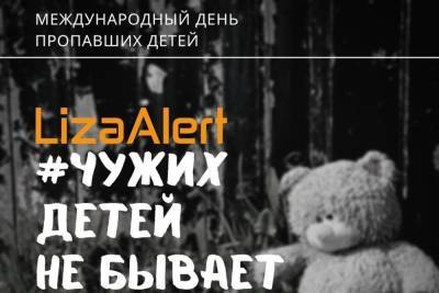 В Тамбове поисково-спасательный отряд «Лиза Алерт» проведёт онлайн-трансляцию по проблеме пропажи детей - tambov.mk.ru - Тамбов