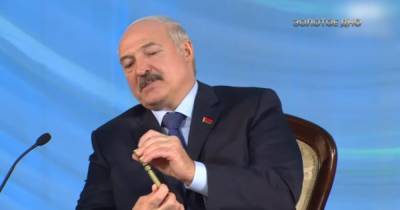 Александр Лукашенко - Роман Протасевич - Джули Фишер - Лукашенко запретил СМИ транслировать акции протеста в реальном времени - dsnews.ua - Вильнюс - Минск