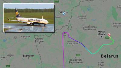 Заслуженный военный летчик СССР назвал «удивительным» поведение пилота Ryanair - gazeta.ru - Вильнюс - Минск