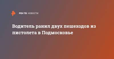 Татьяна Петрова - Водитель ранил двух пешеходов из пистолета в Подмосковье - ren.tv - Московская обл. - Московская область