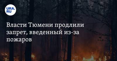 Власти Тюмени продлили запрет, введенный из-за пожаров - ura.news - Тюмень - Тюменская обл.