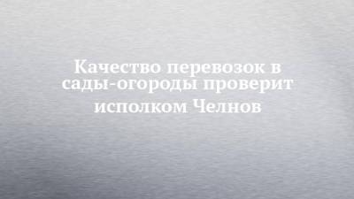 Наиль Магдеев - Качество перевозок в сады-огороды проверит исполком Челнов - chelny-izvest.ru