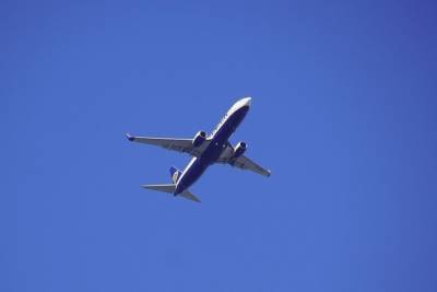 Роман Протасевич - Полиция Литвы: решение посадить самолет Ryanair принял капитан судна - mk.ru - Литва - Минск