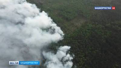 Кадры с высоты: в Башкирии горел природный парк "Иремель" - vesti.ru - Башкирия