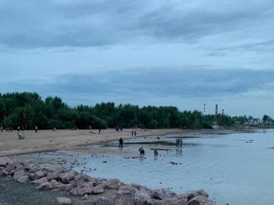 Петербуржцы жалуются на огромную свалку у Жемчужного пляжа - rosbalt.ru - Санкт-Петербург