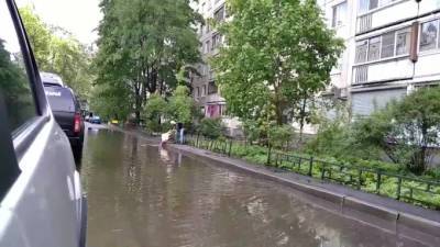 Видео: петербуржец решил прополоскать ковер в образовавшейся после дождя луже - piter.tv