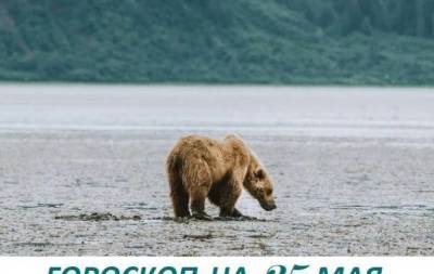 Гороскоп на 25 мая 2021: жизнь жестока, мы не имеем права быть мягкими - skuke.net