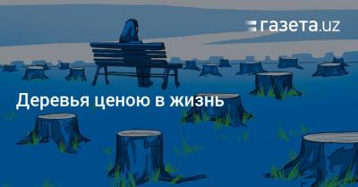 Деревья ценою в жизнь - gazeta.uz - Узбекистан - Ташкент