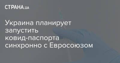 Владимир Зеленский - Михаил Федоров - Виктор Ляшко - Украина планирует запустить ковид-паспорта синхронно с Евросоюзом - strana.ua - Украина