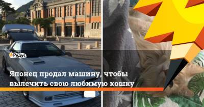 Японец продал машину, чтобы вылечить свою любимую кошку - ridus.ru - Япония