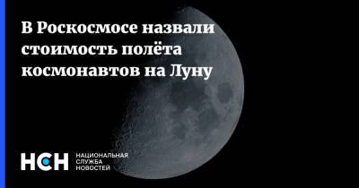 Александр Блошенко - В Роскосмосе назвали стоимость полёта космонавтов на Луну - nsn.fm