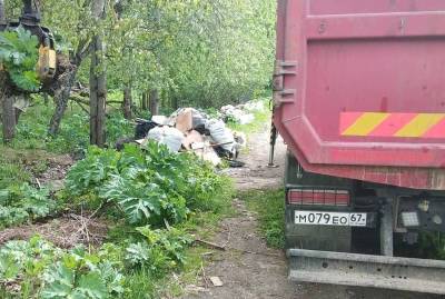 Вывезли 16,8 т мусора. В Смоленске устранили очередную несанкционированную свалку - rabochy-put.ru - Смоленск - Смоленская обл.