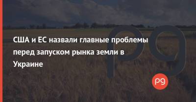 Кристина Квин - США и ЕС назвали главные проблемы перед запуском рынка земли в Украине - thepage.ua - США - Украина