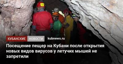 Посещение пещер на Кубани после открытия новых видов вирусов у летучих мышей не запретили - kubnews.ru - Сочи - Краснодарский край - Адлер
