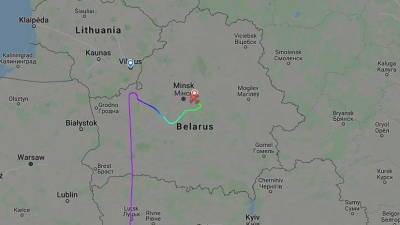Артем Сикорский - В Минске рассказали подробности сообщения о минировании самолёта Ryanair - russian.rt.com - Минск - Палестина