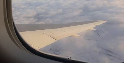 Артем Сикорский - Артем Сикорский: давления на экипаж Ryanair со стороны белорусских диспетчеров не было - grodnonews.by - Вильнюс - Минск