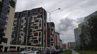 Смольный купит 19 однокомнатных квартир для детей-сирот - piter.tv - Санкт-Петербург