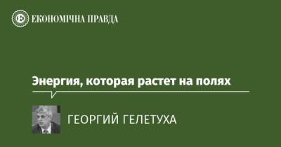 Энергия, которая растет на полях - epravda.com.ua