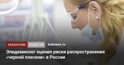 Александр Горелов - Эпидемиолог оценил риски распространения «черной плесени» в России - kubnews.ru - Россия
