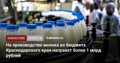 На производство молока из бюджета Краснодарского края направят более 1 млрд рублей - kubnews.ru - Краснодарский край - Голландия - Новороссийск