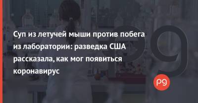 Суп из летучей мыши против побега из лаборатории: разведка США рассказала, как мог появиться коронавирус - thepage.ua - Китай - США - Ухань