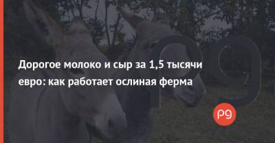 Дорогое молоко и сыр за 1,5 тысячи евро: как работает ослиная ферма - thepage.ua - Киев