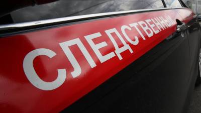 СК возбудил дело по факту гибели женщины и ребенка в Дербенте - iz.ru - Махачкала - респ. Дагестан