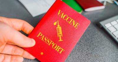 Владимир Зеленский - Михаил Федоров - COVID-паспорта в Украине планируют запустить вместе с Евросоюзом - focus.ua - Украина