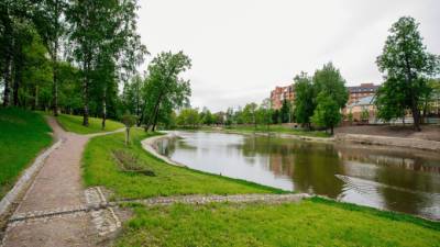 Александр Беглов - В Смольном рассказали, сколько было высажено деревьев, цветов и кустарников в прошлом году - piter.tv - Санкт-Петербург - Благоустройство