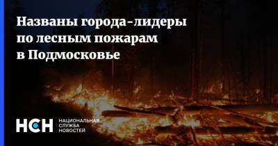 Андрей Разин - Названы города-лидеры по лесным пожарам в Подмосковье - nsn.fm - Московская обл. - Солнечногорск - Воскресенск
