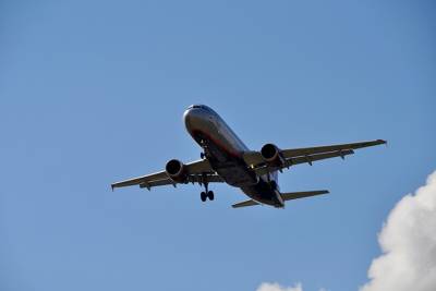 ИКАО проведет срочное заседание из-за ситуации с рейсом Ryanair 27 мая - vm.ru - Белоруссия - Вильнюс - Минск