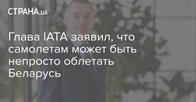Роман Протасевич - Глава IATA заявил, что самолетам может быть непросто облетать Беларусь - strana.ua - Вильнюс - Минск