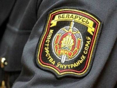 Роман Протасевич - МВД Беларуси: Протасевич находится в СИЗО, на здоровье не жаловался - gordonua.com - Вильнюс - Минск