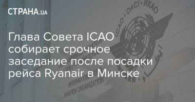 Глава Совета ICAO собирает срочное заседание после посадки рейса Ryanair в Минске - strana.ua - Вильнюс - Минск