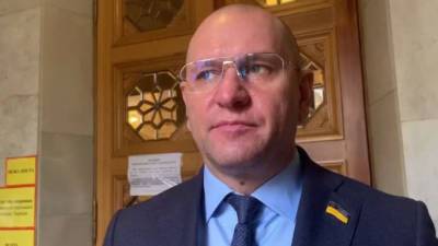 Александр Дубинский - Евгений Шевченко - Роман Протасевич - Сторонника Лукашенко исключили из партии Зеленского - anna-news.info
