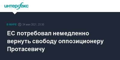 Роман Протасевич - София Сапега - София Сапегу - ЕС потребовал немедленно вернуть свободу оппозиционеру Протасевичу - interfax.ru - Москва - Белоруссия - Литва - Вильнюс - Минск