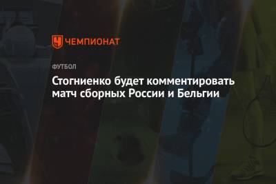 Владимир Стогниенко - Стогниенко будет комментировать матч сборных России и Бельгии - championat.com - Санкт-Петербург - Бельгия
