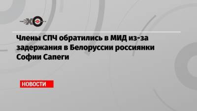Роман Протасевич - София Сапеги - Члены СПЧ обратились в МИД из-за задержания в Белоруссии россиянки Софии Сапеги - echo.msk.ru - Вильнюс - Минск - Ирландия
