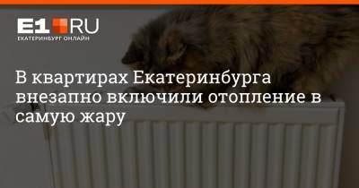 Артем Устюжанин - В квартирах Екатеринбурга внезапно включили отопление в самую жару - e1.ru - Екатеринбург