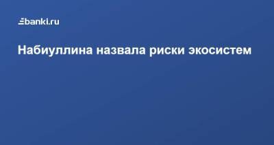 Эльвира Набиуллина - Набиуллина назвала риски экосистем - smartmoney.one