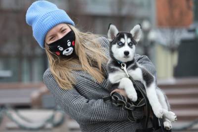 Москвичам напомнили правила перевозки домашних животных - vm.ru - Москва