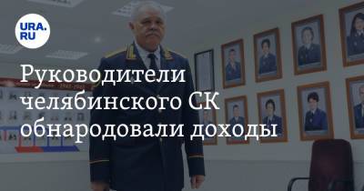 Руководители челябинского СК обнародовали доходы - ura.news - Челябинская обл. - Челябинск