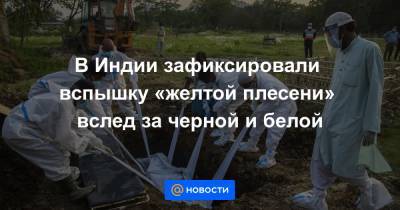 В Индии зафиксировали вспышку «желтой плесени» вслед за черной и белой - news.mail.ru
