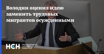 Вячеслав Володин - Александр Калашников - Володин оценил идею заменить трудовых мигрантов осужденными - nsn.fm