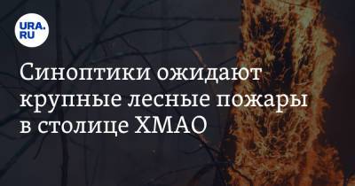 Синоптики ожидают крупные лесные пожары в столице ХМАО - ura.news - Ханты-Мансийск - Югра - Октябрьск
