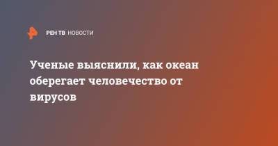 Ученые выяснили, как океан оберегает человечество от вирусов - ren.tv - Голландия