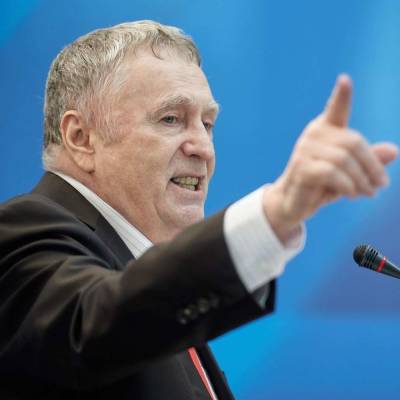 Владимир Путин - Владимир Жириновский - Жириновский предложил обязать владельцев собак в России обследоваться у психиатра - actualnews.org